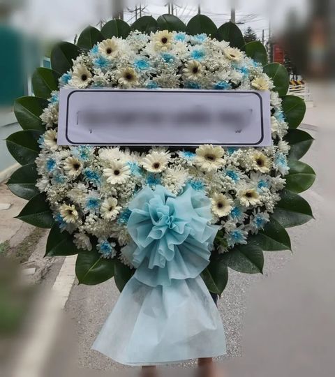 พวงหรีดเยอบีร่า โทนครีมฟ้าเขียว